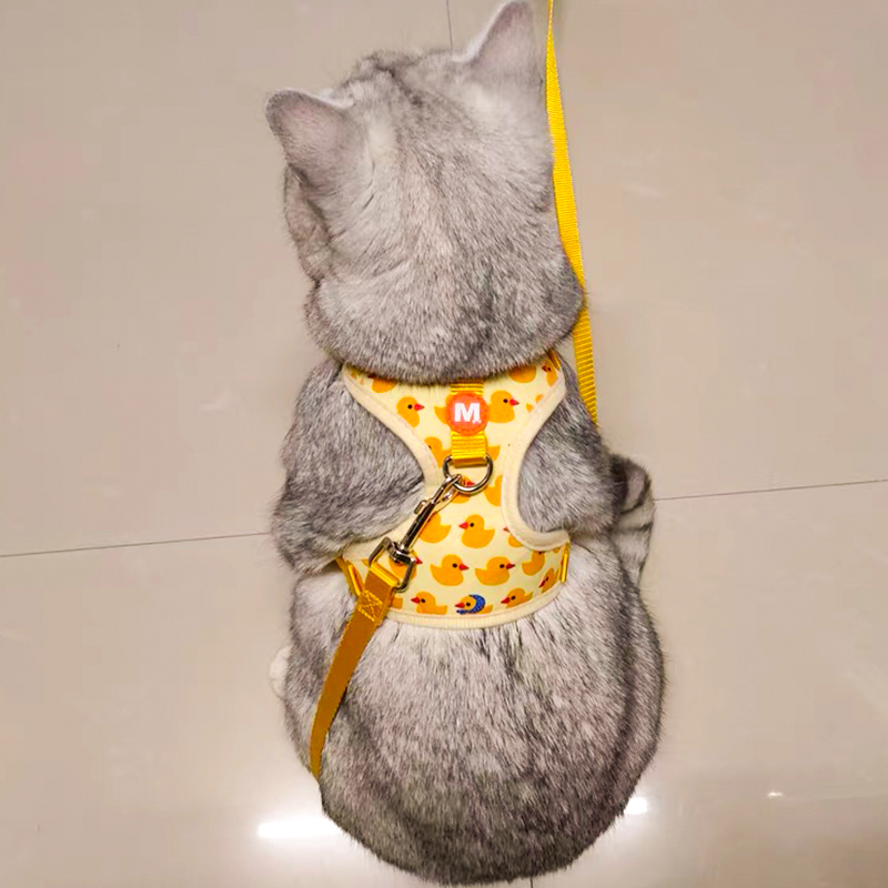 速发猫胸可爱防猫外出小挣脱可调节咪背溜猫绳狗链子
