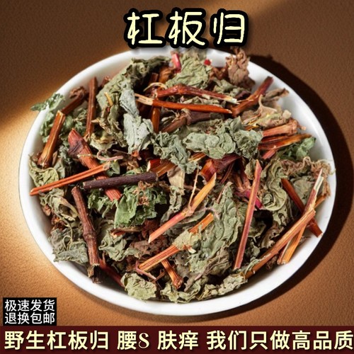 杠板归中草药蛇不过河白草蛇倒退犁头刺扛板归毛猫爪刺拦路虎野生