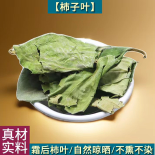 柿子叶茶中药材的功效霜降后霜打干柿子叶河南野生新鲜柿子树叶子