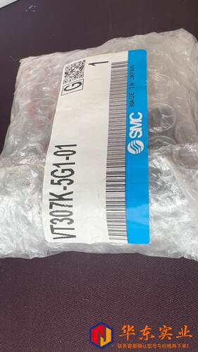 SMC电磁阀VT307K-5G1-01一