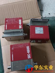 日本HORIBASTEC堀場SEC-4600R  100LM