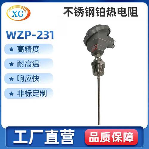 耐震内配铠装铂热电阻 配套铁底座 WZP-230 PT100装配式铂电阻