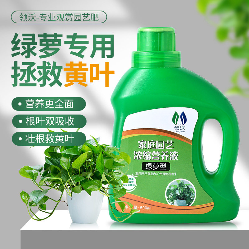 速发绿萝肥料营养液专用吊绿叶王肥兰常青藤家庭园艺盆栽绿植物肥