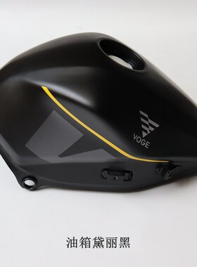 无极250RR二三代原车油箱隆鑫LX250GS-3-I LX2Q50GS-3C电子燃油泵