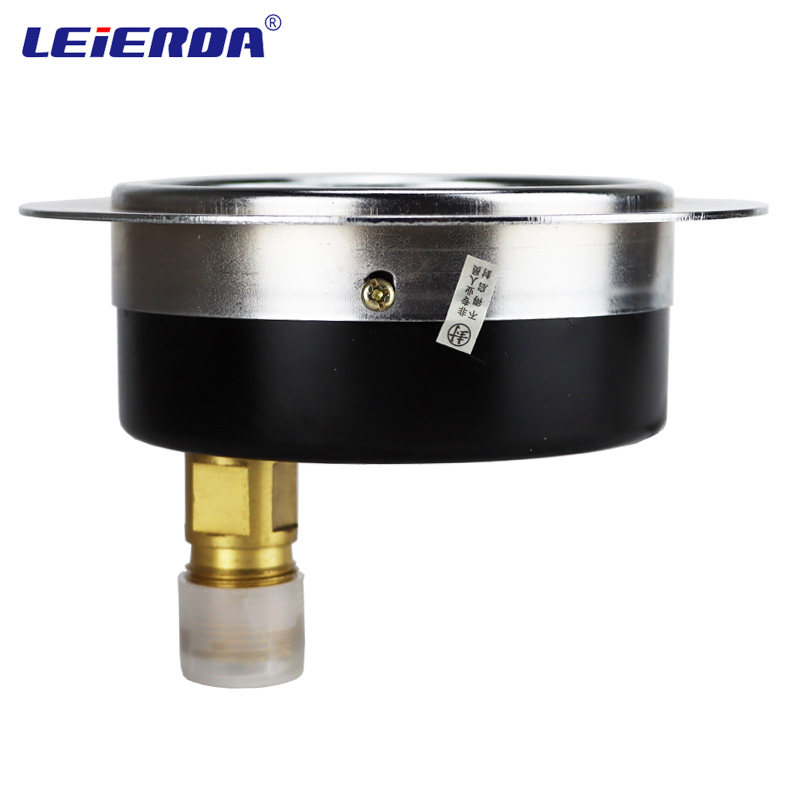 雷尔达 轴向带边压力表 Y100ZT 轴向K真空压力表 气压油压水压