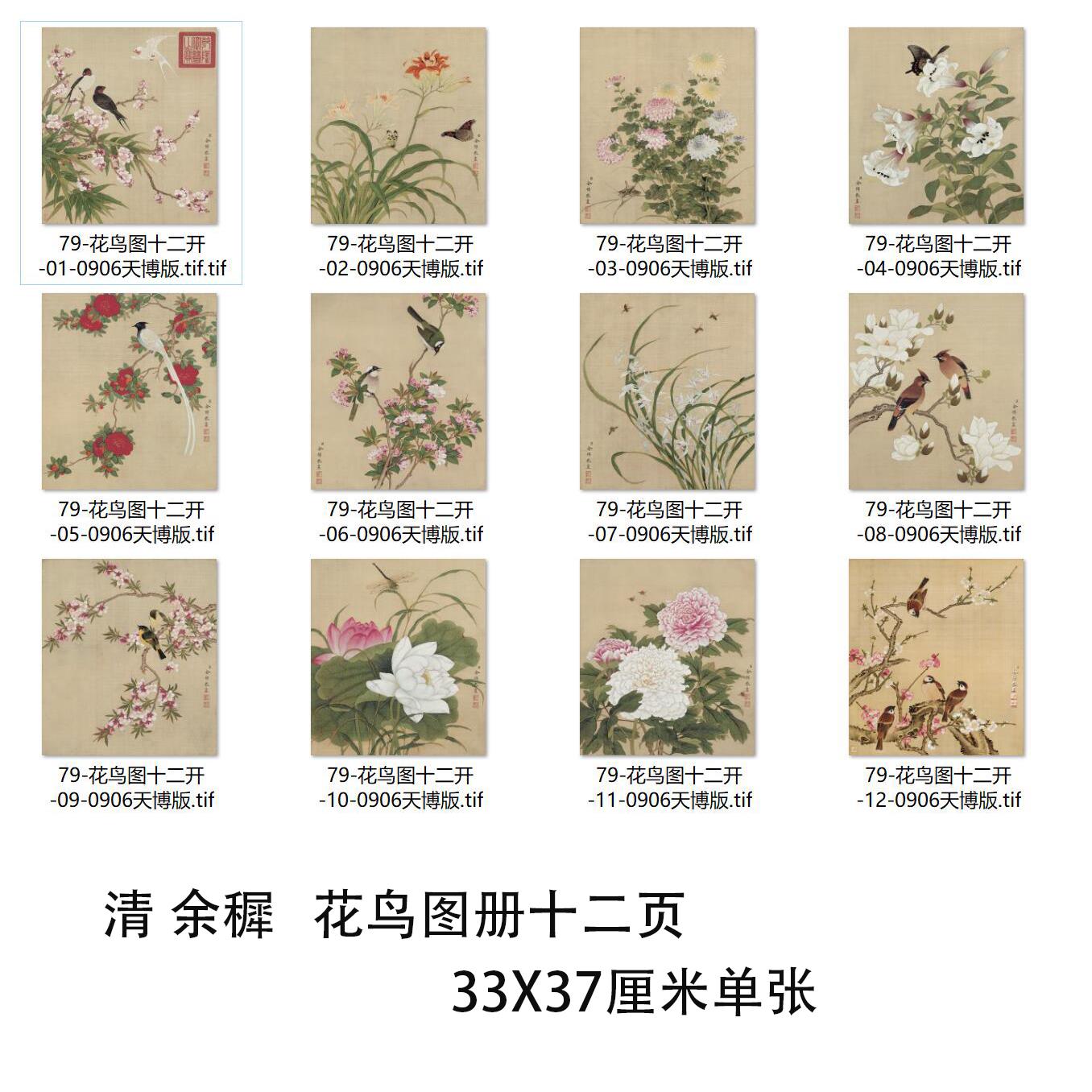 清 余穉余稚花鸟图册十二页 工笔花卉鸟虫册页微喷复制临摹画稿