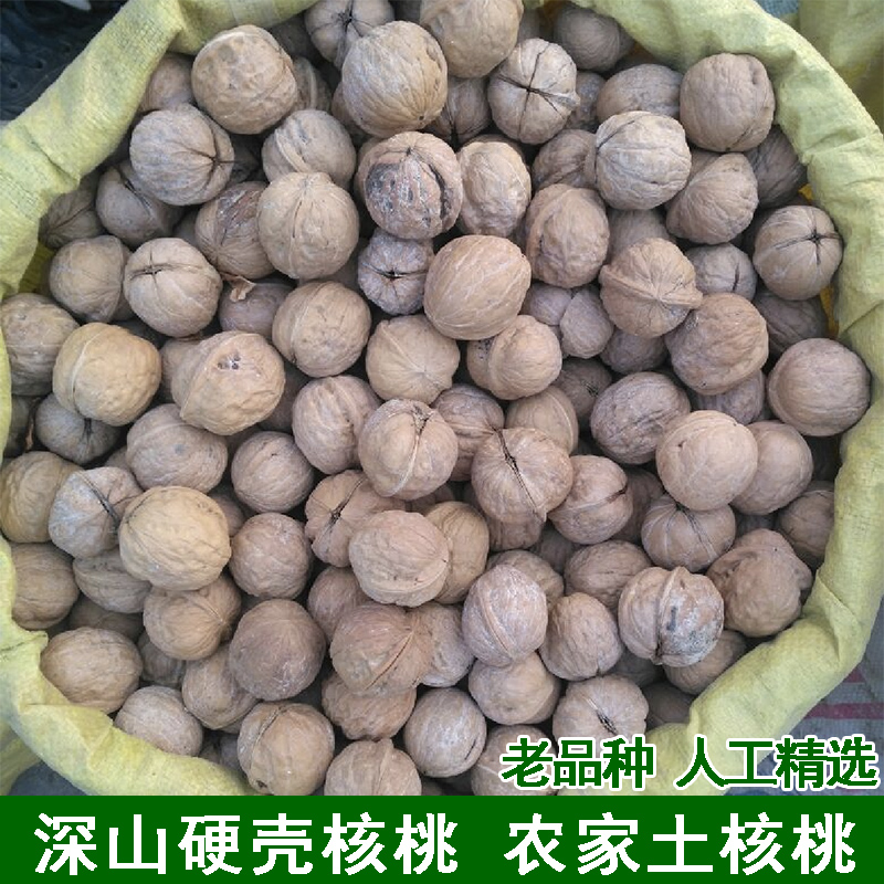 土核桃农家自种老品种核桃硬壳小核桃干核桃深山土核桃精选自然熟