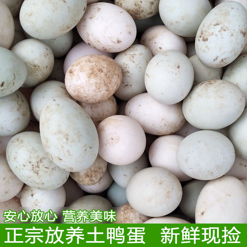 正宗农村自养土鸭蛋新鲜发货