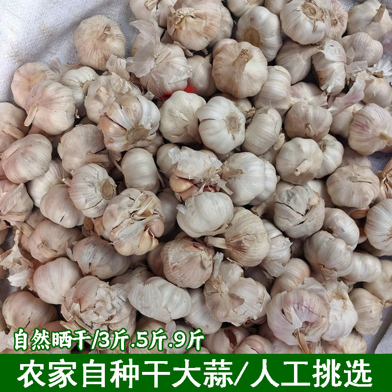 农家自种干大蒜头湖北宜昌本地大蒜蒜头干蒜5斤紫皮白皮蒜香浓郁