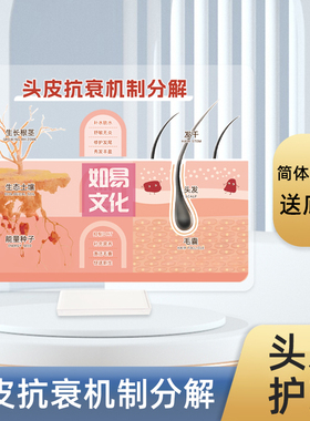 头发抗衰机制分解亚克力展示牌