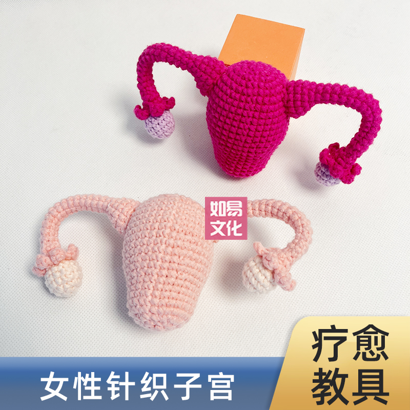 女性生殖教具针织子宫教学模具教培模型产康店妇产科医学科普阴蒂
