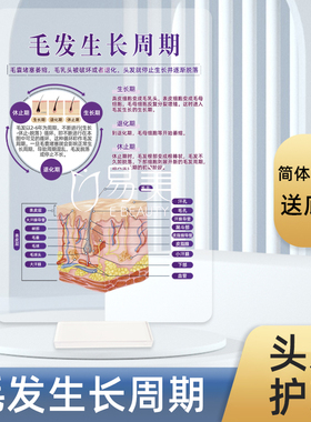 毛发生长周期装饰摆件知识讲解
