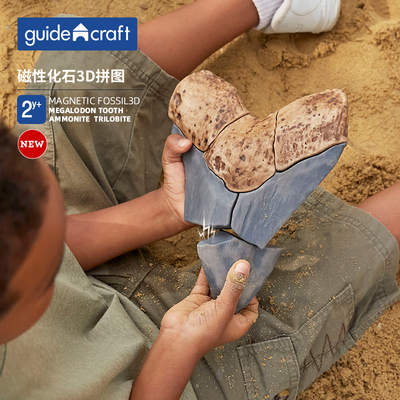 guidecraft仿真磁性化石3D拼图