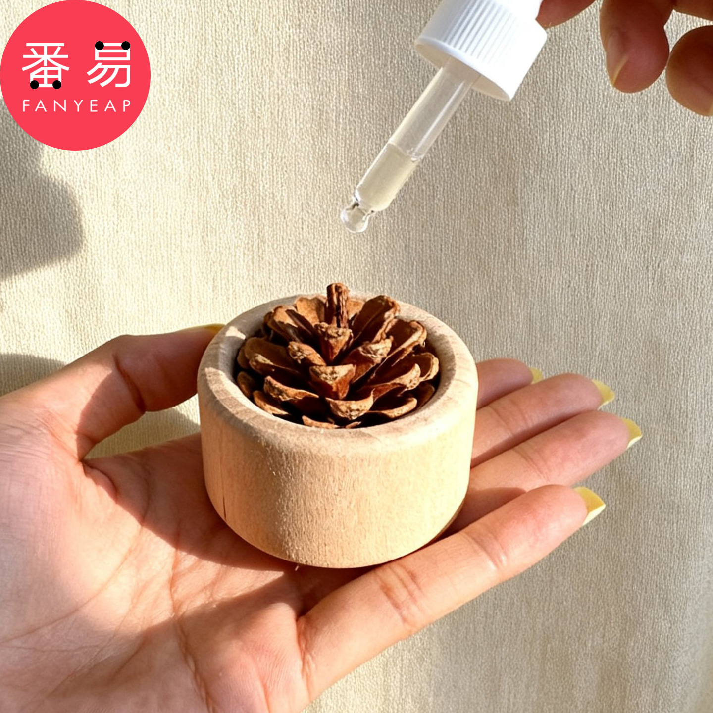 扩香木B1vq001-扩香木松果无火香薰精油卧室摆件车载挥发木家用
