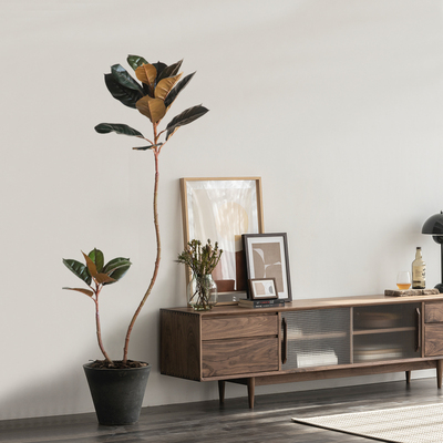 速发侘寂风大型落地物植橡客假植绿盆栽橱窗室内树厅装饰造景