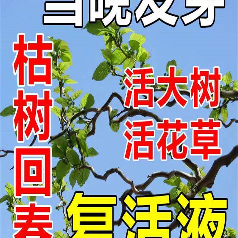 现货速发【一夜爆春发芽】大树营养液改善激活树木移栽成活率生根