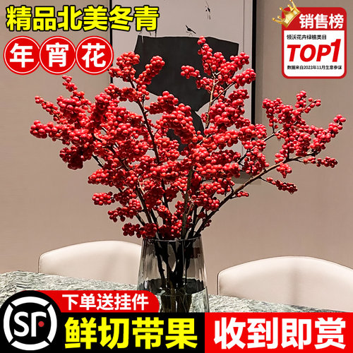 速发北美冬青红植鲜枝银柳栽宵花卉绿植室内水培果物切枝盆年真花