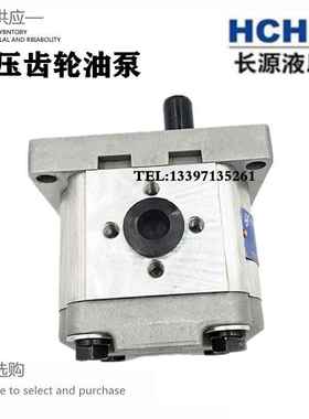 新款包邮合肥长源齿轮油泵CBW-F304/306/310-AFPL/CLPL/ALP/CLP高