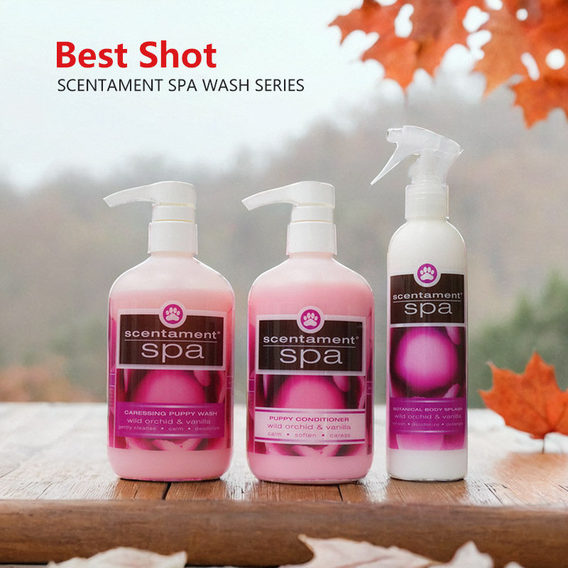 bestshot宠物洗护品兰花香草味