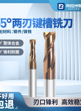 HRC55度两刃键槽立铣刀平底模具CNC加工中心整体硬质合金钨钢铣刀