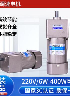 齿轮减速电机立式调速器220V/6W-400W微小型交流卧式单相马达