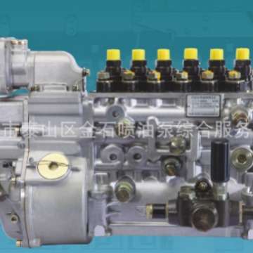 重庆潍柴油泵XC62.08.32.1000 配套龙泵油泵总成 BP1501 原厂现货