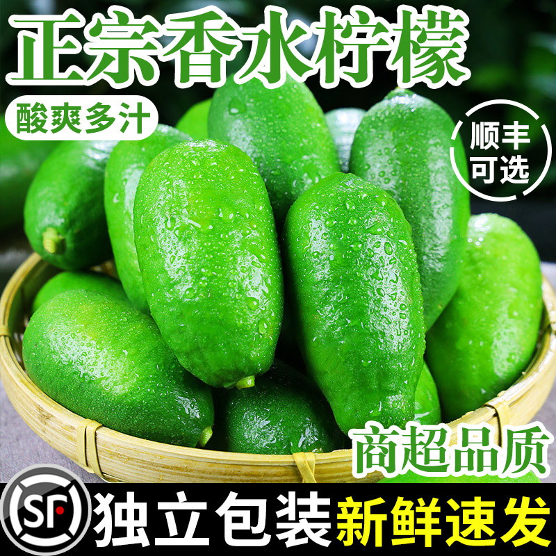 广东香水柠檬新鲜一级果海南应当季水果无籽青柠檬10斤奶茶店专用