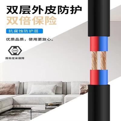 国标电缆线珠江电线RVV2芯3芯电源线1/1.5/2.5/4/6平方电车充电线