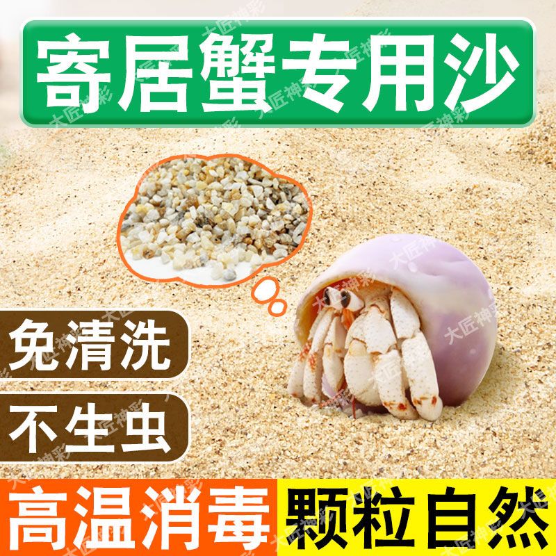 寄居蟹专用沙水草螃蟹底沙石天然垫材原生贝壳沙免洗鱼缸造景沙子