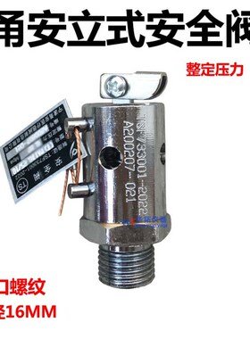 高压灭菌锅配件压力蒸汽消毒锅全启式安全阀/排气阀/放气阀