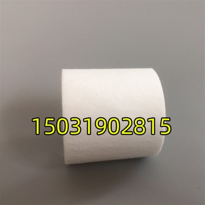 浙大鸣泉配件南华尾气分析仪圆筒滤芯双层后置过滤器检测微孔滤芯