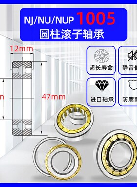 圆柱滚子轴承NU/NJ/N1004 1005 1006 1007 1008 1009 1010 1011EM