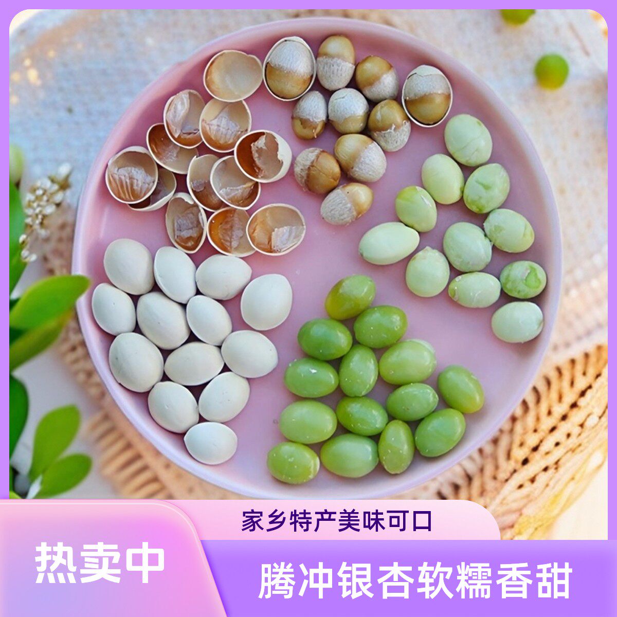 云南腾冲糯白果坚果银杏果大树老树农家生态休闲果