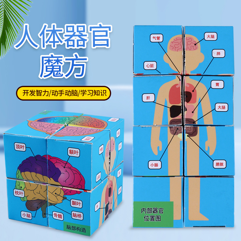 科学实验人体器官魔方盒子 小学生科技小制作手工DIY益智stem