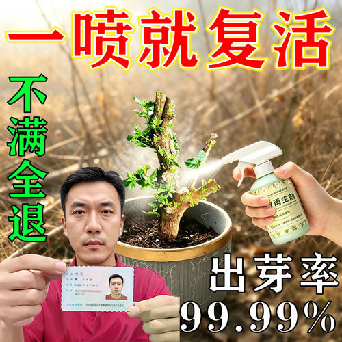 植物速效再生剂绿植花卉复活液