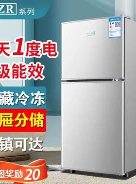 扬子家用小型双门冷藏冷冻出租屋