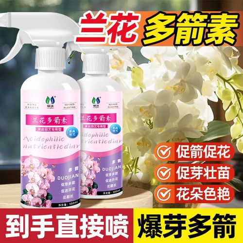 速发兰花多箭素爆兰素蝴蝶芽兰科植物花用型专用花卉肥料治黄叶促