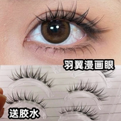 兔奶奶M104鱼尾型超自然假睫毛COS芭比簇状透明梗卷翘眼睫毛女