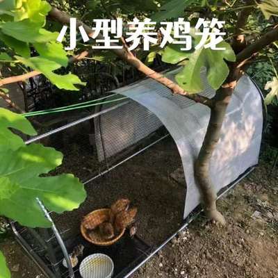 专用养殖移地养鸡溜的室外鸡笼竹NYX走动隧道围栏跑道鸡子散养达