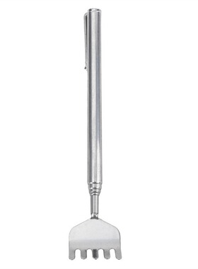 Silver pen holder stainless steel extendable itch remover to