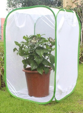 Foldable insect cage insect proof net seedling transparent i