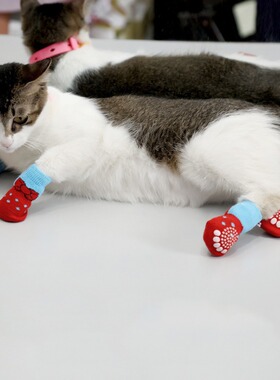 4 Cute Pet Socks Cat Socks Dog Socks