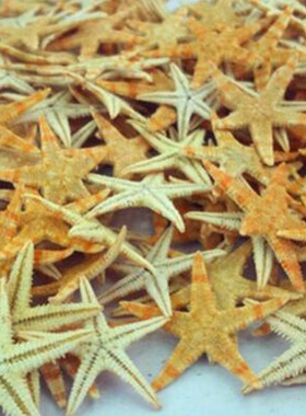 Natural starfish fish tank landscape handmade DIY material p
