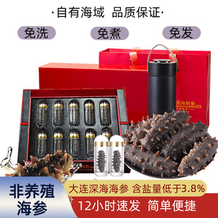 女山岛大连海参10小时速发辽参礼盒装 滋补孕妇送礼过年节日长辈