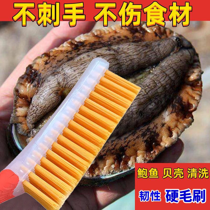 刷鲍鱼神器洗小龙虾生蚝螃蟹专用清洁工具厨房清洗长柄多功能刷子