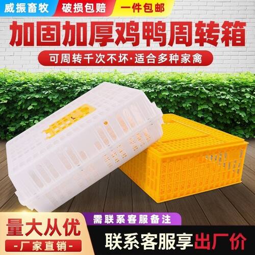 鸡笼周转箱子家用养殖加