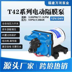 11升房车隔膜泵12V24V直流抽水泵游艇增压泵自吸水泵 热销T42短款