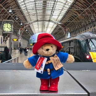 英国正版帕丁顿熊paddington红帽子朴彩英同款挂件公仔毛绒玩偶