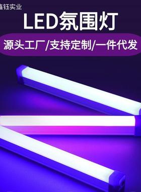 紫色灯泡紫光昆虫诱捕灯可充电抓虫神器土狗子蝼蛄灯氛围紫光灯