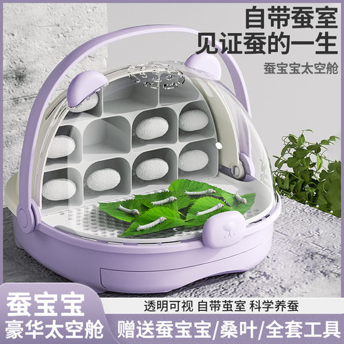蚕宝宝太空舱学生养蚕套装全套